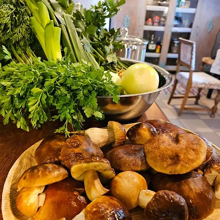 Casa de Férias Ranczo Przylek