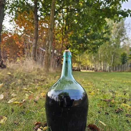 Casa de Férias Ranczo Przylek