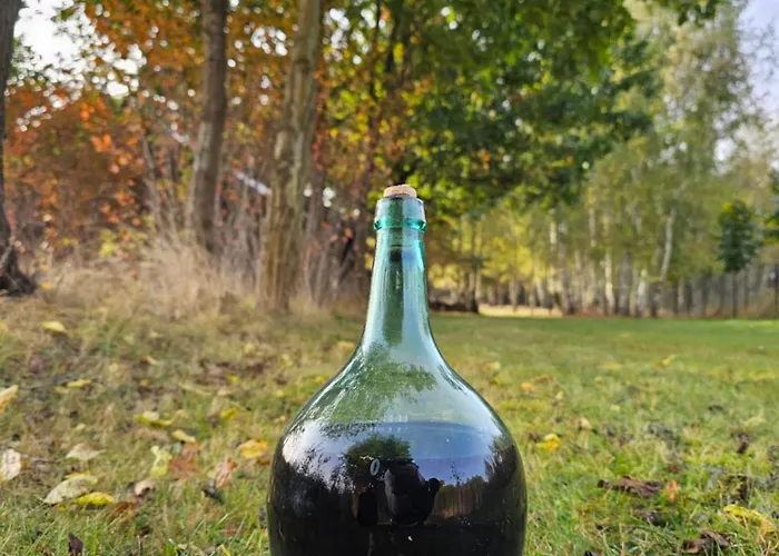 Dom wakacyjny Ranczo Przyłęk